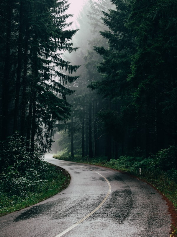 Luftaufnahme des Schlosses mit dem umliegenden Park